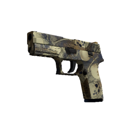 P250 | Contamination (Minimal Wear)