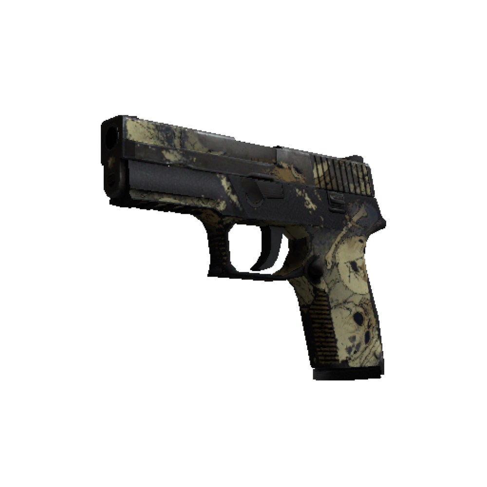 P250 | Contamination (Battle-Scarred)