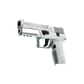 P250 | Whiteout (Minimal Wear)