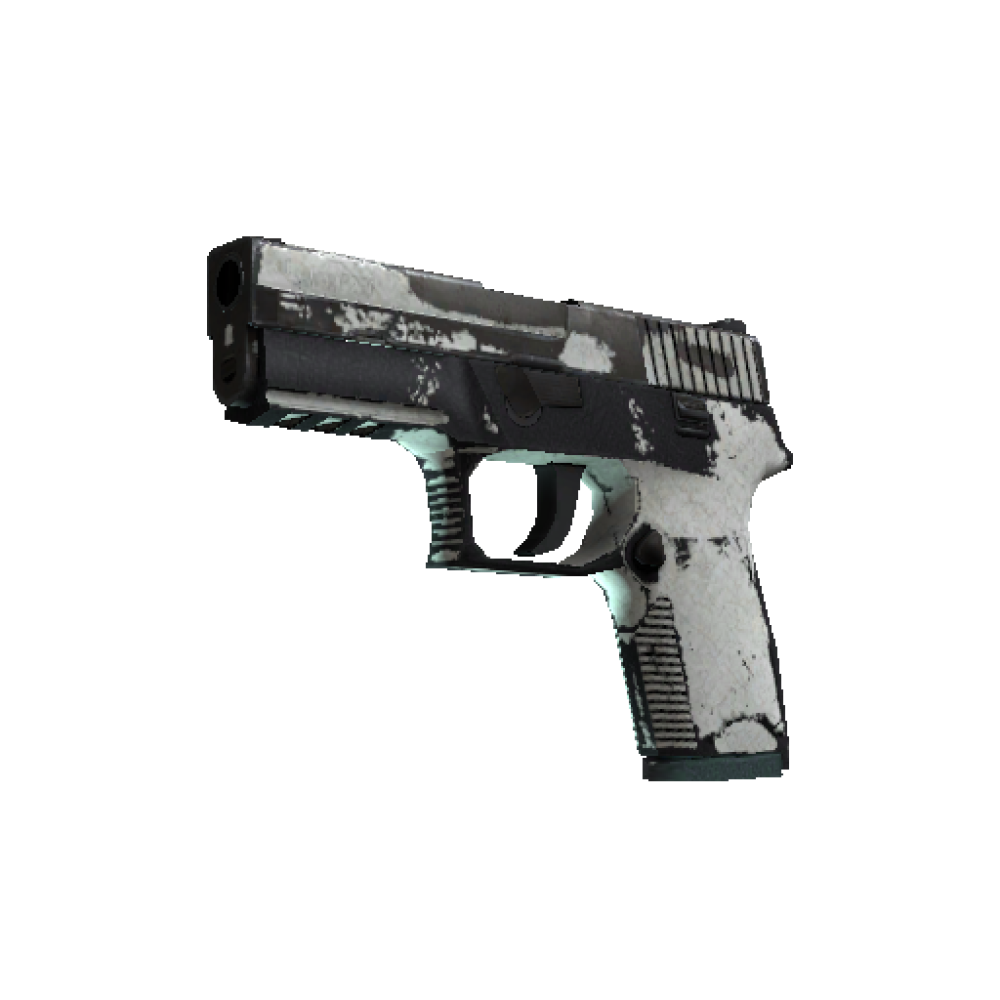 P250 | Whiteout (Battle-Scarred)