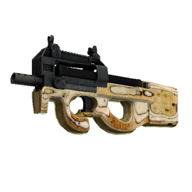 P90 | Shapewood (Minimal Wear)