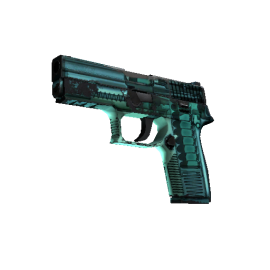 StatTrak™ P250 | X Ray (Field Tested)