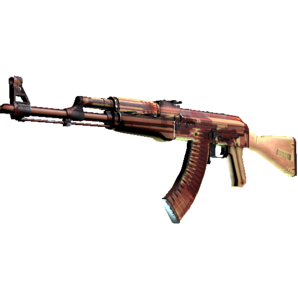 AK-47 | X Ray (Well Worn)