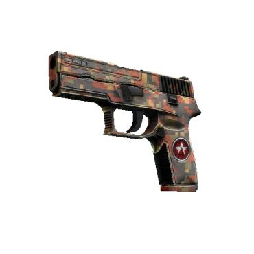 P250 | Red Rock (Minimal Wear)