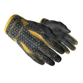 Sport Gloves | Omega (Well-Worn)