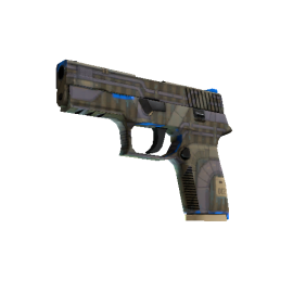 P250 | Exchanger (Factory New)